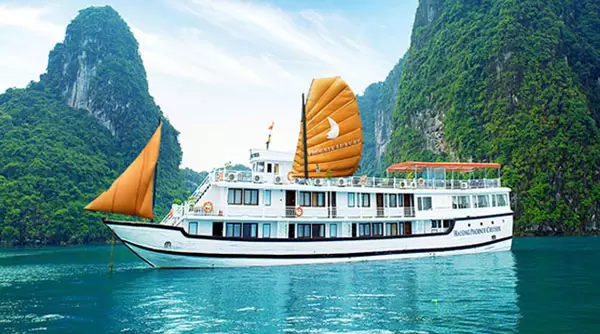 Phoenix Cruiser 14 Cabins